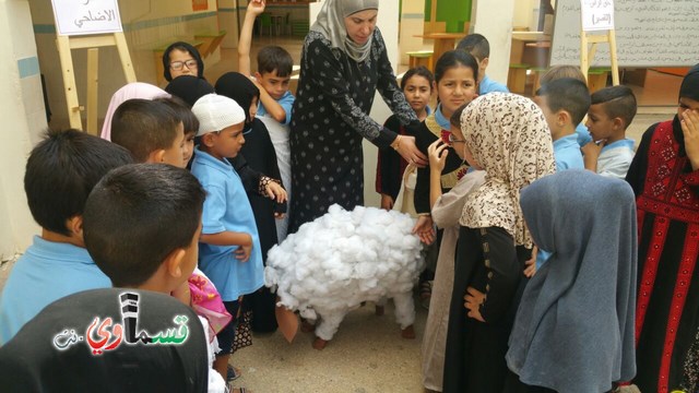   فيديو: بالتسامح والابتسامة العريضة مدرسة جنة ابن رشد تحتفل بعيد الأضحى وتؤدي مناسك الحج   